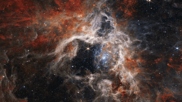 Tarantula Nebula Photographed by JWST